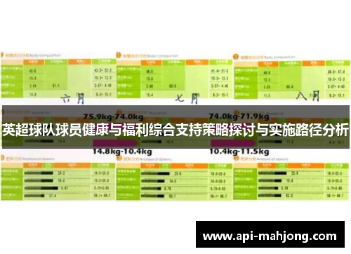英超球队球员健康与福利综合支持策略探讨与实施路径分析