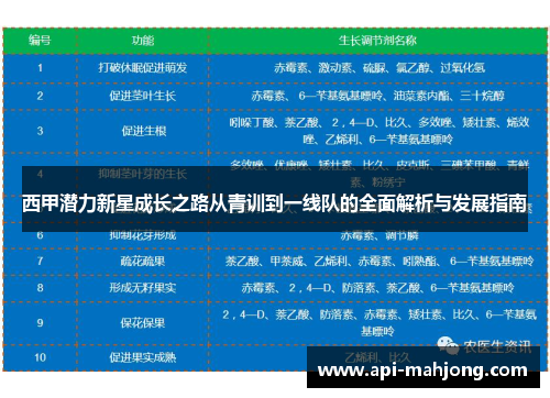 西甲潜力新星成长之路从青训到一线队的全面解析与发展指南 西甲潜力新星成长之路从青训到一线队的全面解析与发展指南