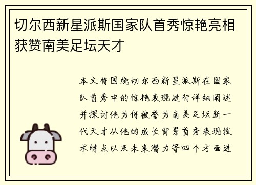 切尔西新星派斯国家队首秀惊艳亮相获赞南美足坛天才